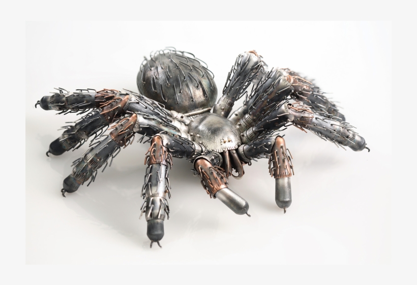 Elizabeth Goluch Metal Insects - Metal Insects, transparent png download