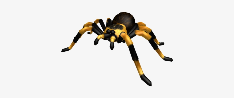 Tarantula - Tarantula Png, transparent png download