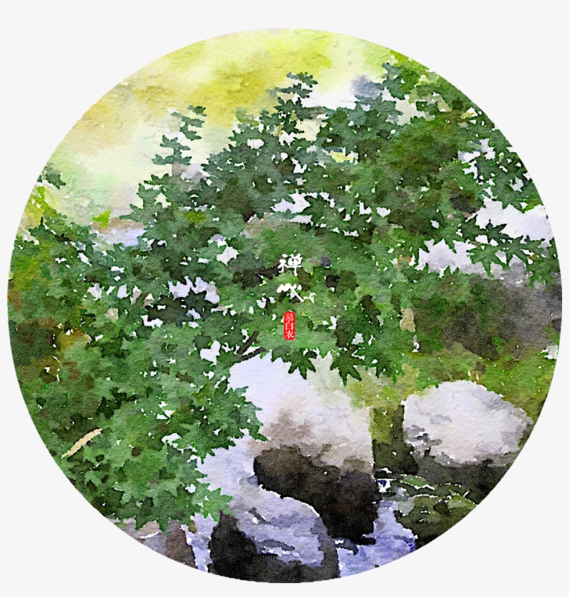 Thank You - American Holly, transparent png download