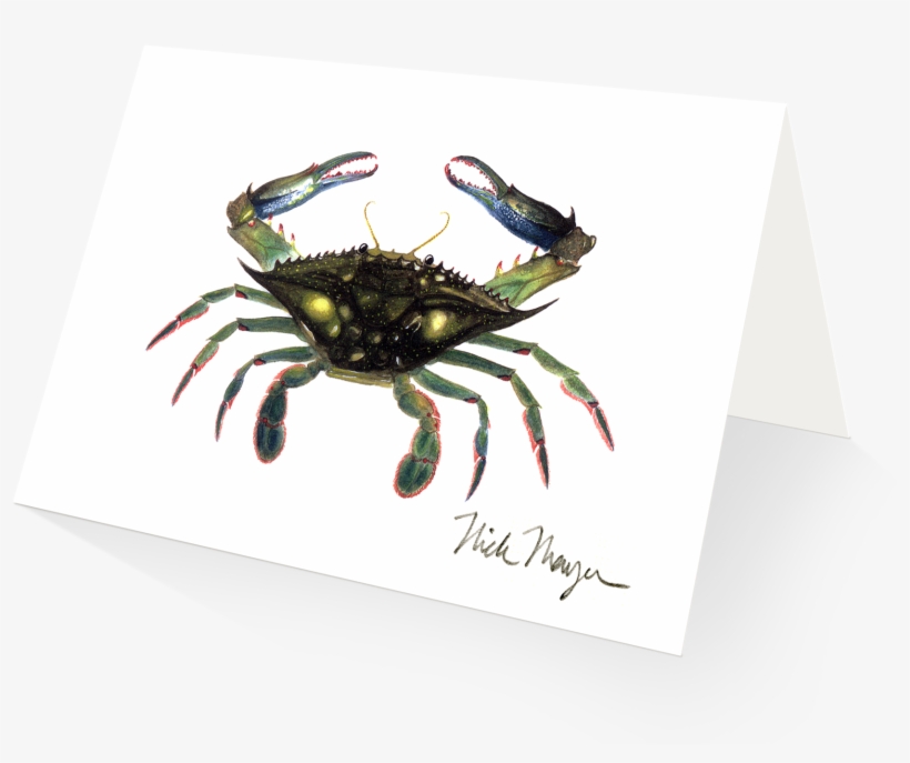 Blue Crab In V=1524851224 - Chesapeake Blue Crab, transparent png download