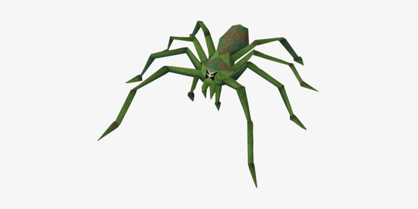 Tarantula Clipart Rainforest Insect - Jungle Spider, transparent png download