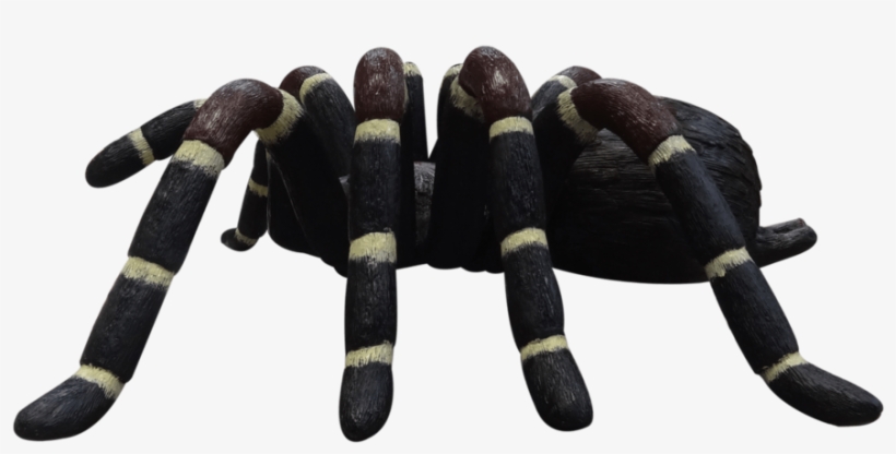Tarantula Spider Insect Statue - Tarantula, transparent png download