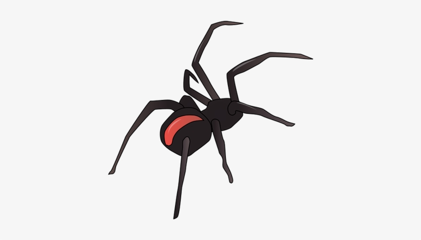 Spider Vector Free Download Clip Art Free Clip Art - Redback Spider Illustration, transparent png download