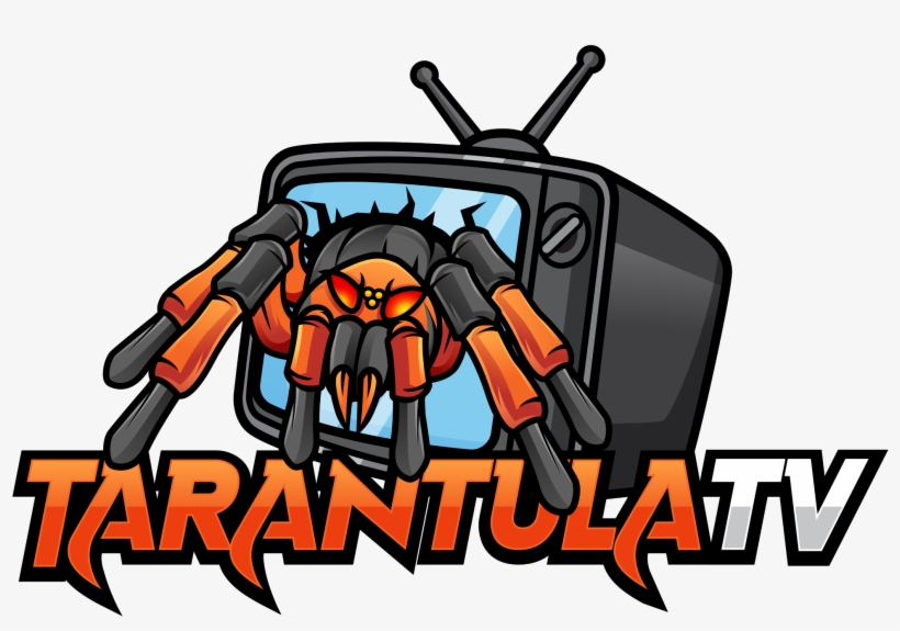 Tarantula Tv - Television, transparent png download