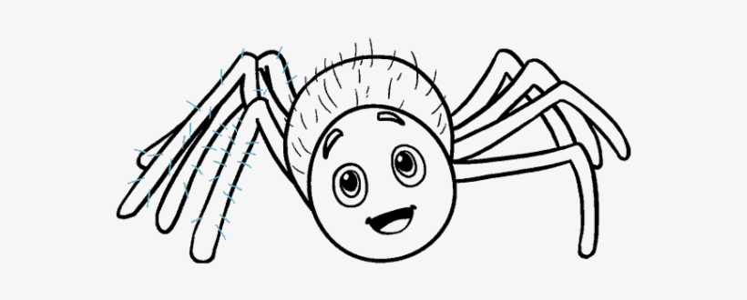 Drawn Spider Spider Black And White - Imagens De Aranha Desenho, transparent png download