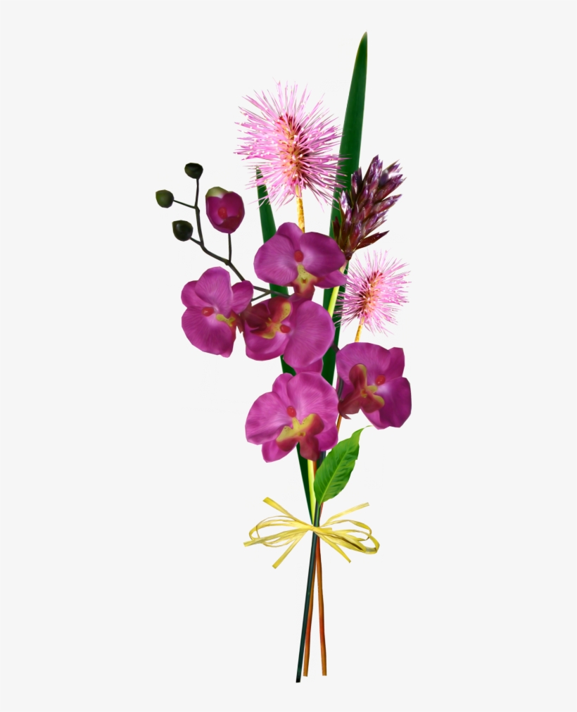 Pin By Jadwiga On Kwiaty Transparent - Tubes Transparent Fleurs Png, transparent png download