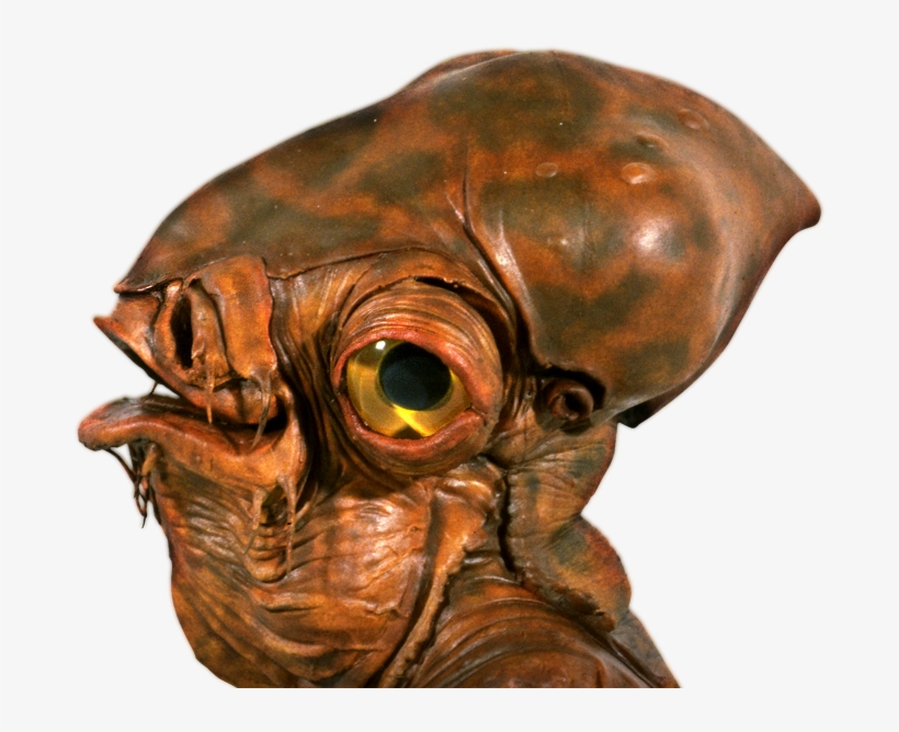 Fish Creature Star Wars, transparent png download