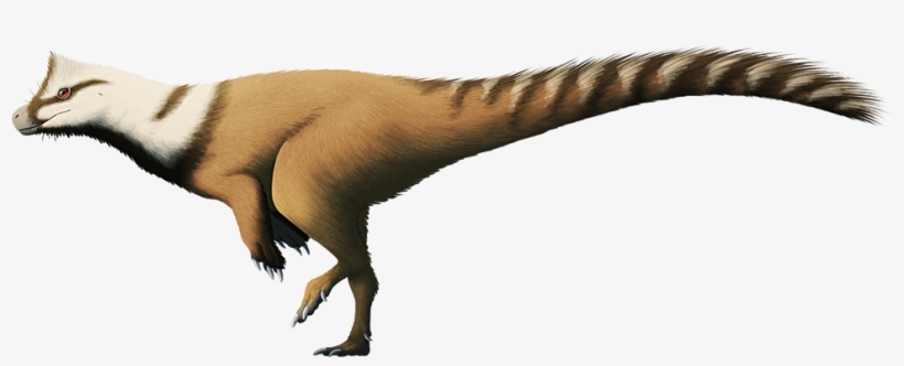 Herrerasaurus Feathers, transparent png download