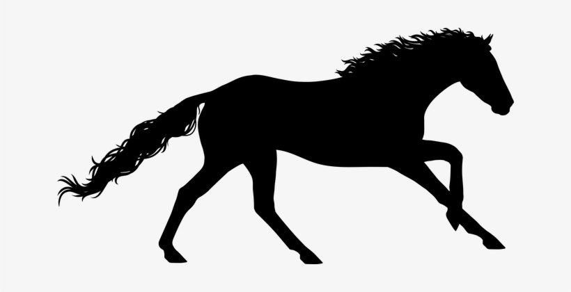 Horse, Gallop, Stallion, Equestrian - Horse, transparent png download