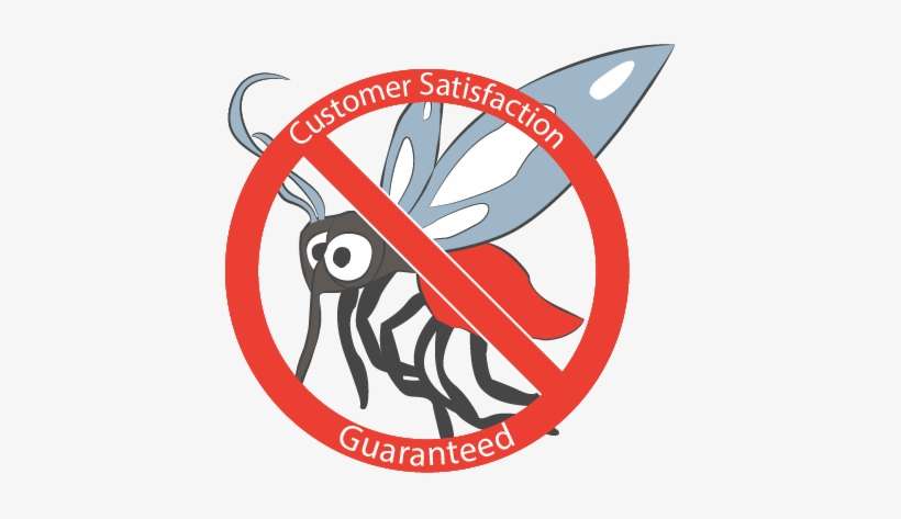 100% Satisfaction Guaranteed - Mosquito, transparent png download