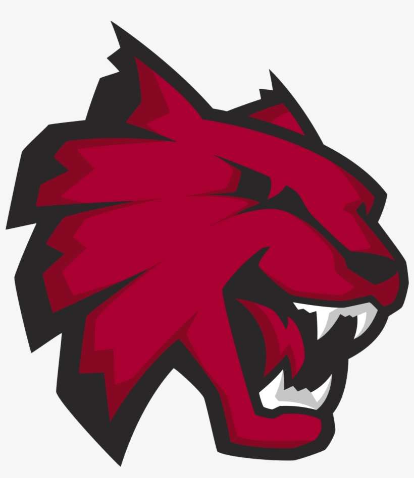 Png Freeuse Library Central Washington Wildcats Wikipedia - Central Washington University Mascot, transparent png download