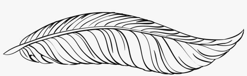 Painted White Feather - Feather, transparent png download
