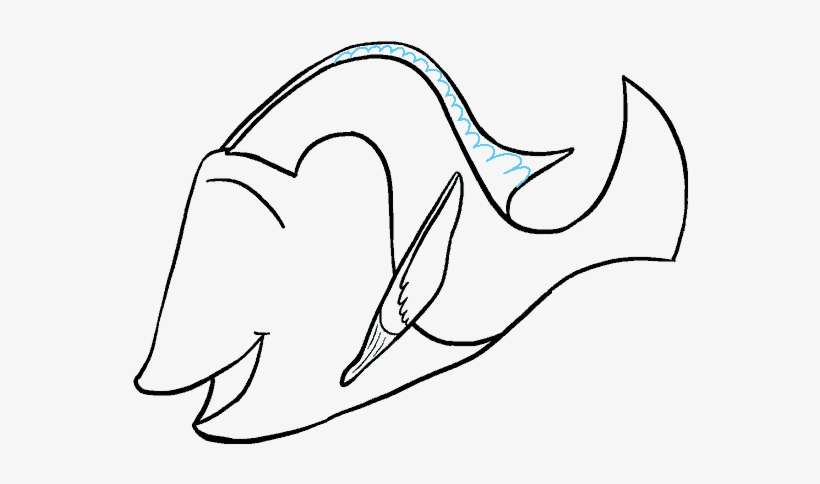 How To Draw Dory - Drawing, transparent png download