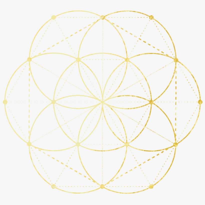 You Will Be Added To Our Mailing List And Only Sent - Circle, transparent png download