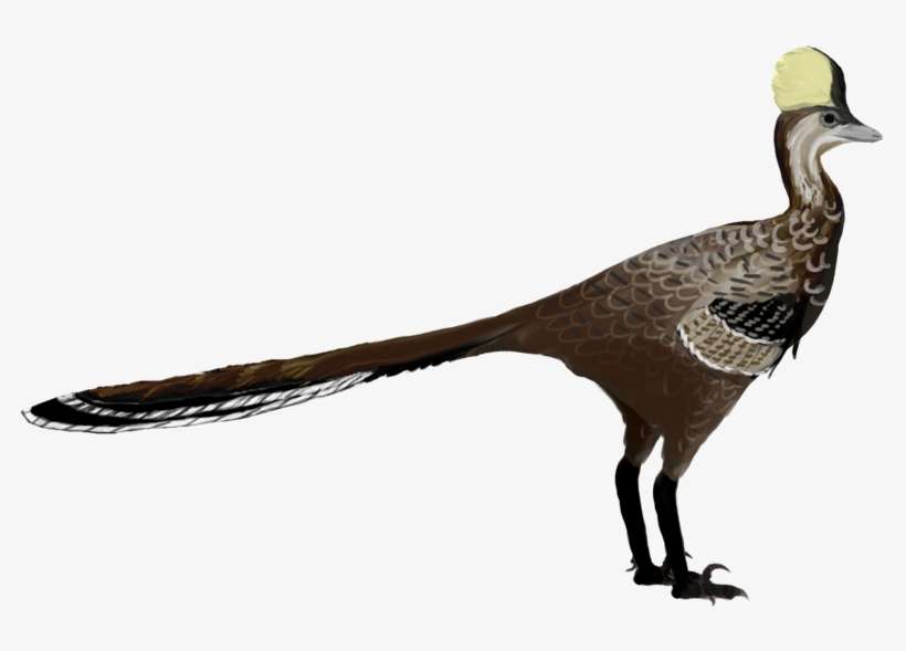 Mei - Mei Dinosaur, transparent png download