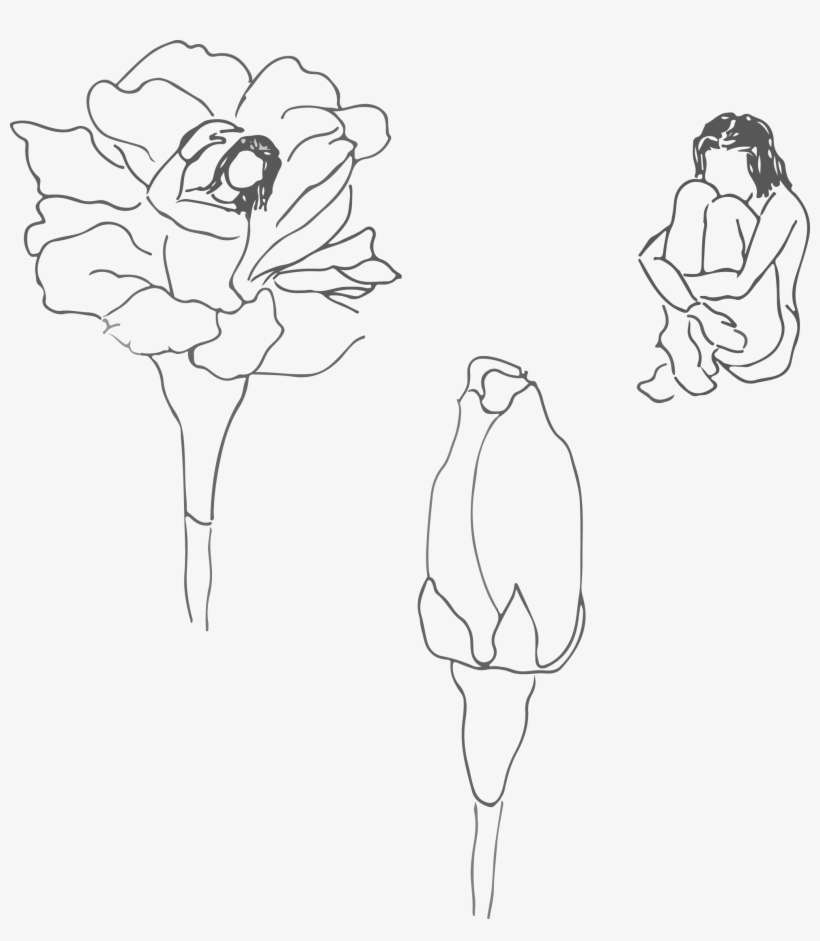 I Originally Didn't Want To Draw And Just Use Photo - Drawing, transparent png download