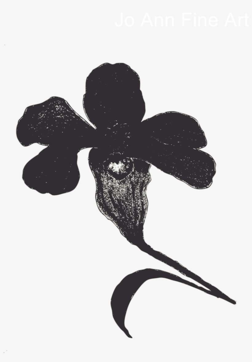 Iris Negro Salpicado - Illustration, transparent png download