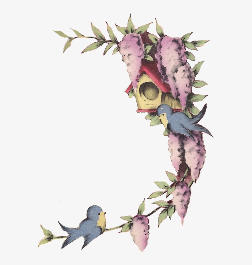 Free Image Little Blue Birds And Wisteria Png Frame - Móbile Gaiola Lute Com Determinação - Tecnolaser, transparent png download
