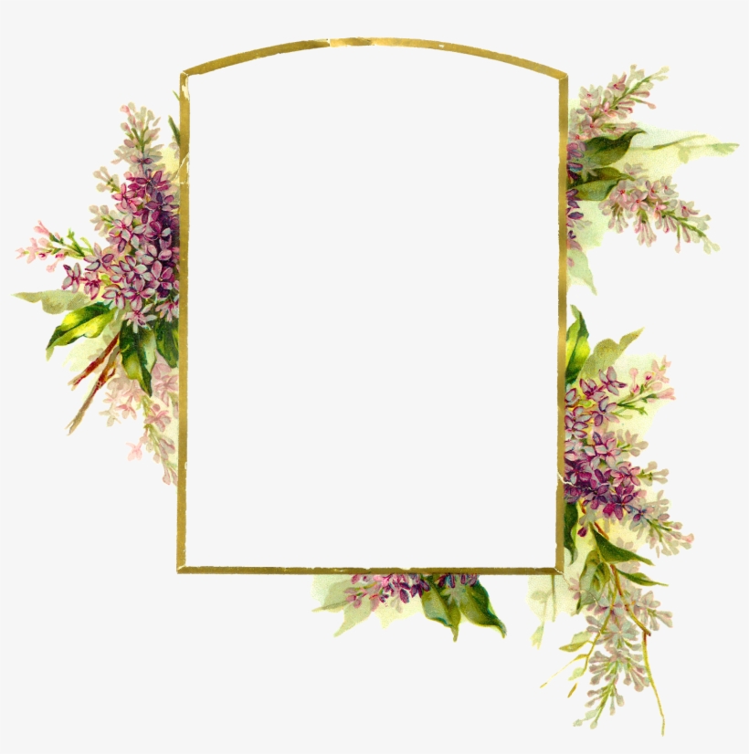 Digital Wisteria Flower Frame Download Png - Clip Art, transparent png download