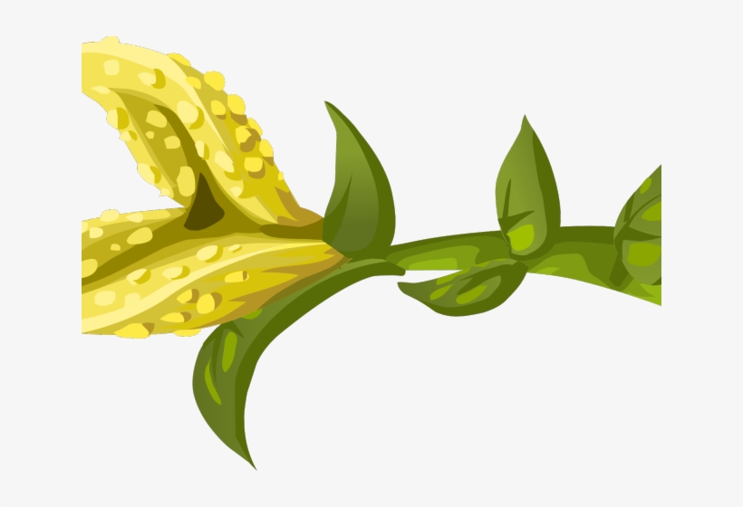 Herbs Clipart Flower - Flower, transparent png download