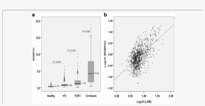 A The Serum Wisteria Floribunda Agglutinin Positive - Diagram, transparent png download