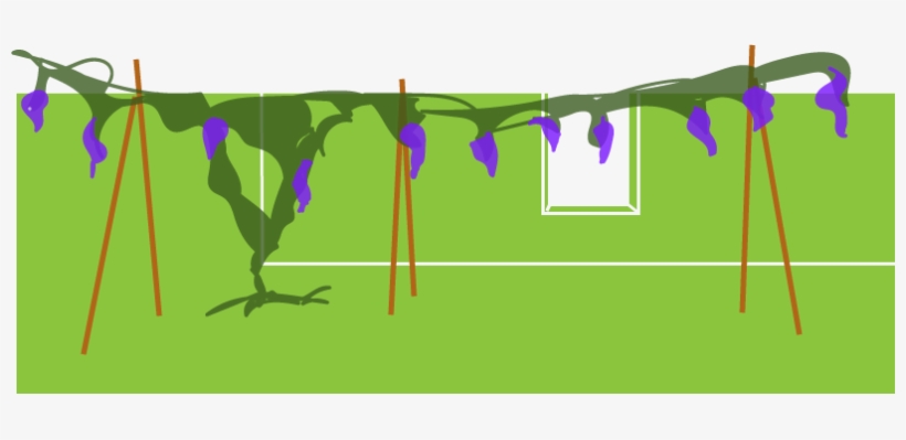 A Way To Tame My Wisteria Monster - Graphic Design, transparent png download