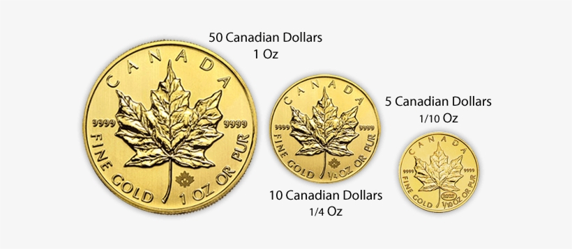 Gold Maple Leaf Coin Sizes - Canada 1 10 Oz Gold Maple Leafs Random Year, transparent png download