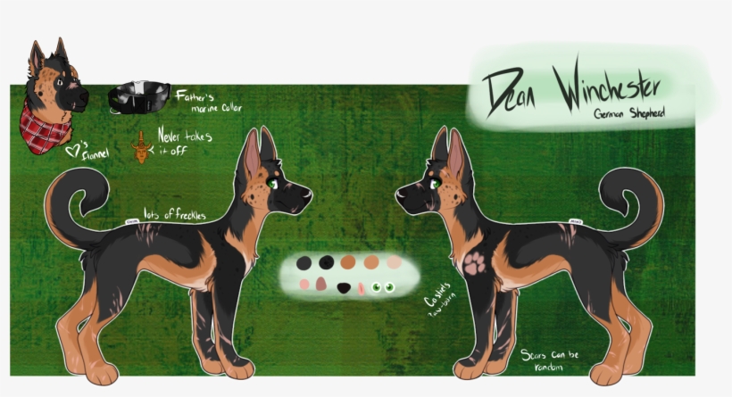 On February 23 Of 2018, My Version Of Dean Winchester - Old German Shepherd Dog, transparent png download