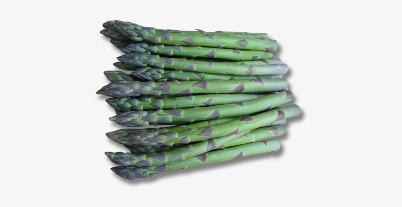 Guelph, transparent png download