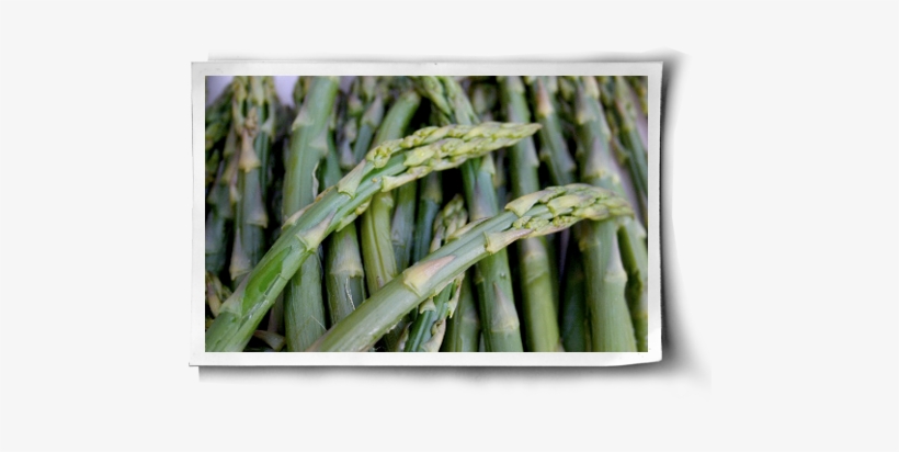 Grilled Asparagus - Plants High In Protein, transparent png download