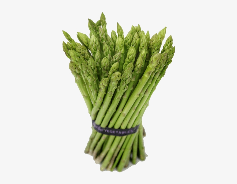 Batlle Rocket Seeds, transparent png download