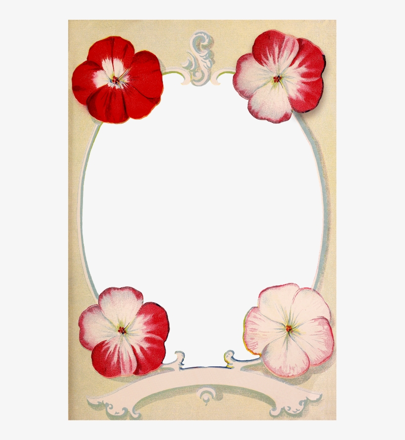 Displaying Mcgregors Frame Wingsofwhimsy Png Ephemera - Picture Frame, transparent png download