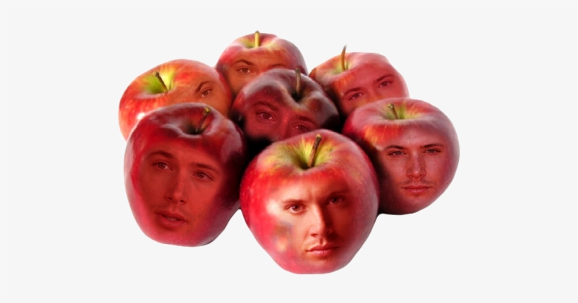 Free Library Jensen Ackles Dean Winchester - Fresh Apples, transparent png download