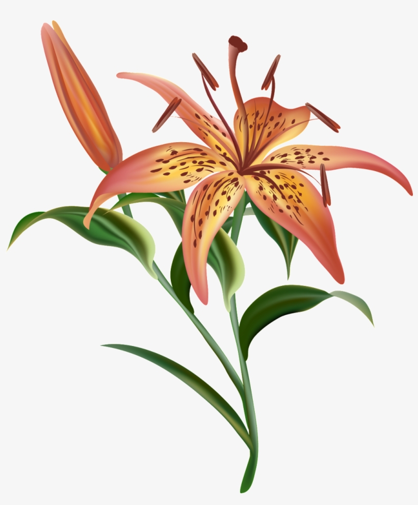 Golden Orange Bouquet Transparent Decorative - Flores Realistas, transparent png download