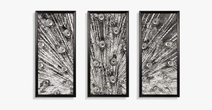 Animal Black & White Peacock - Timothy Oulton Peacock, transparent png download