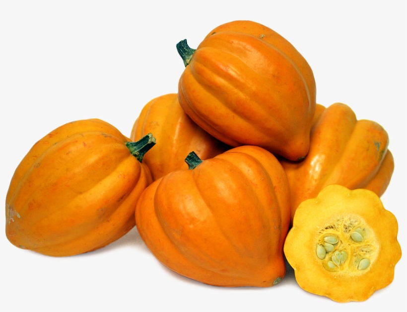 Acorn Squash Png File - Squash * Gills Golden Pippin * Organic Heirloom Seeds, transparent png download