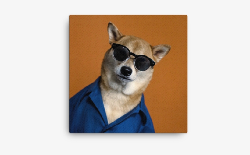 Mensweardog Oh Hai Canvas - Companion Dog, transparent png download