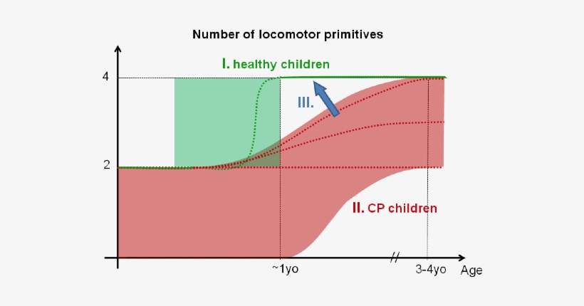 Muscle Synergies - Diagram, transparent png download