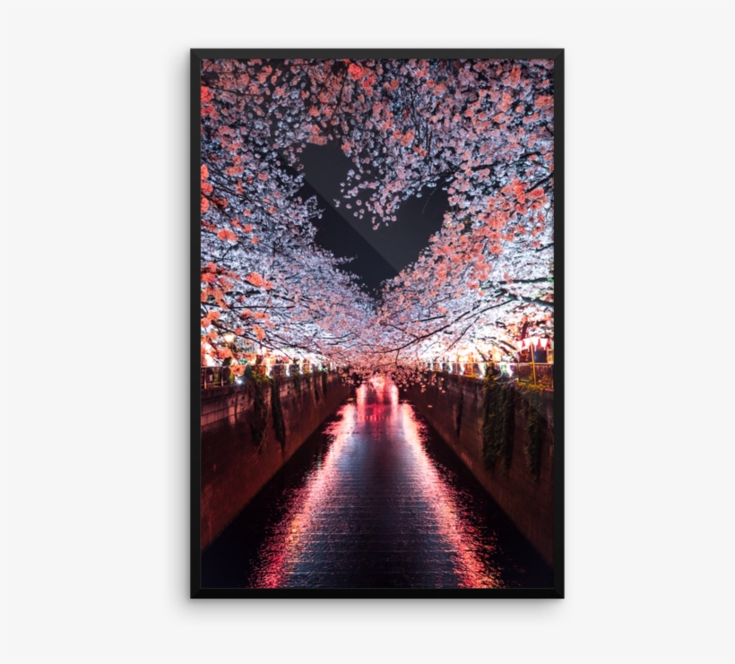 Japan Cherry Blossom Heart - دلنوشته درد دل باخدا, transparent png download