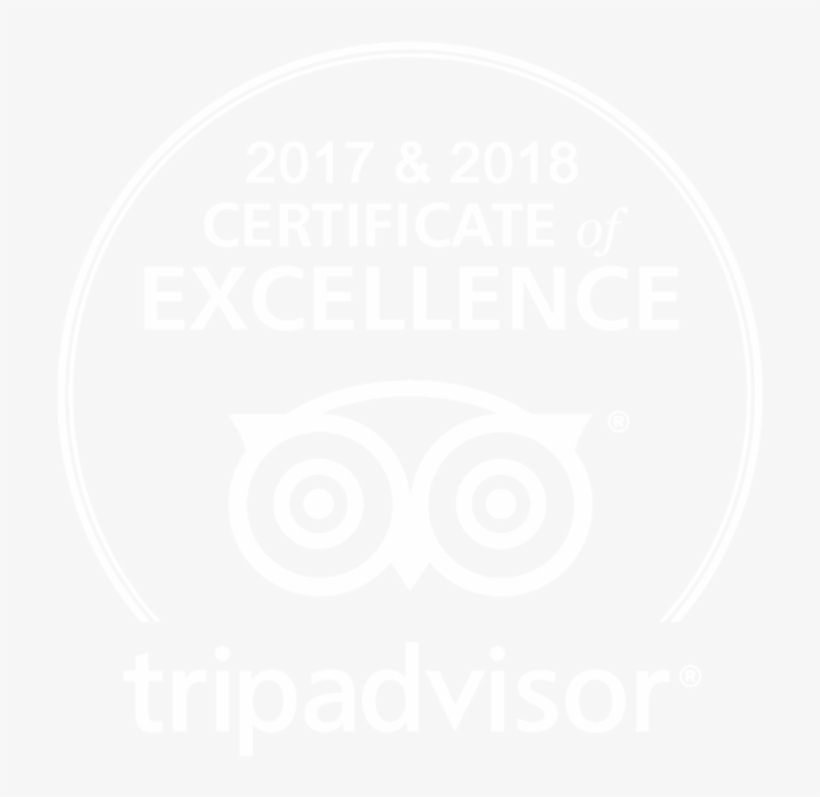 2017 2018 Certificate Of Excellence Sapphire - Ps4 Logo White Transparent, transparent png download