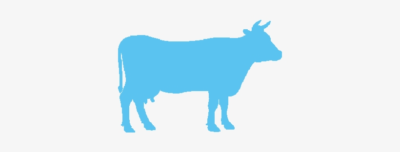 Only A2a2 Cows - Cows Vs Insects, transparent png download