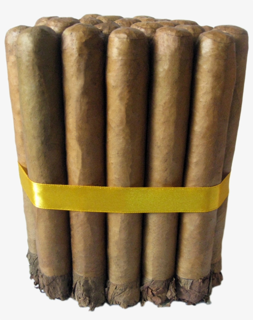 Shaggy, transparent png download