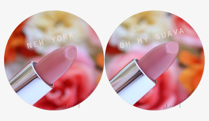 Lipstick Also Offers A 6-month Money Back Guarantee - Makeup Brushes, transparent png download