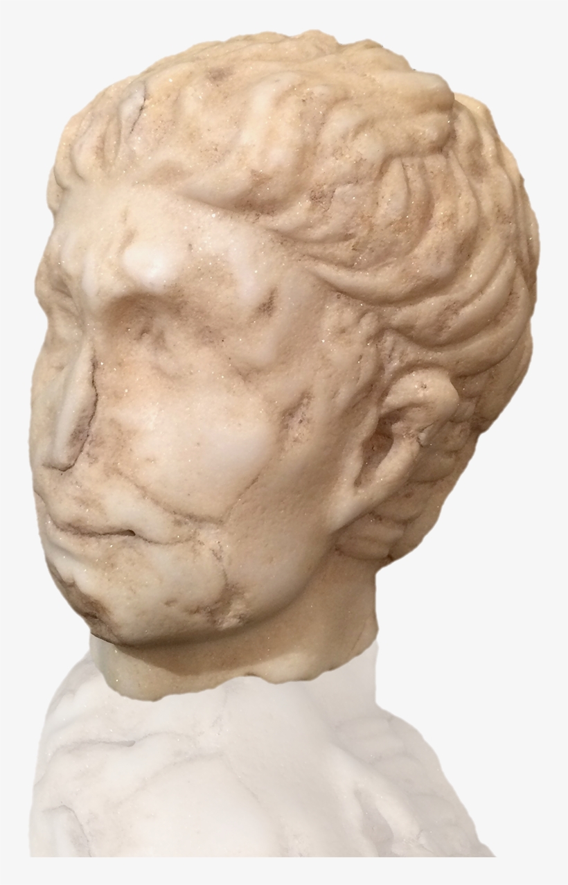 Carved Marble Roman Head - Bust, transparent png download