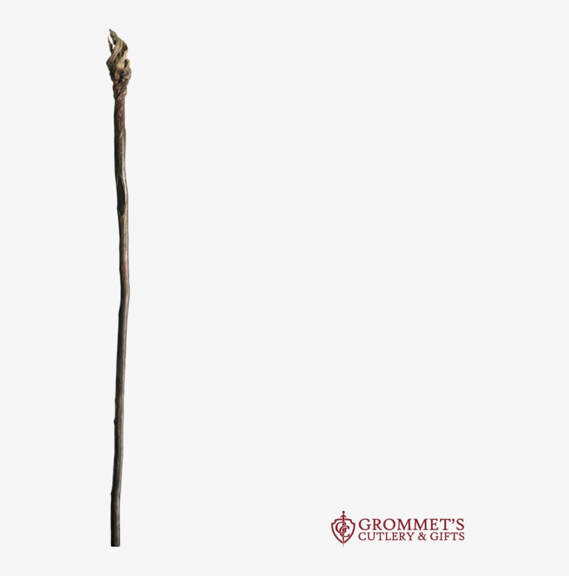 More Views - Lance, transparent png download