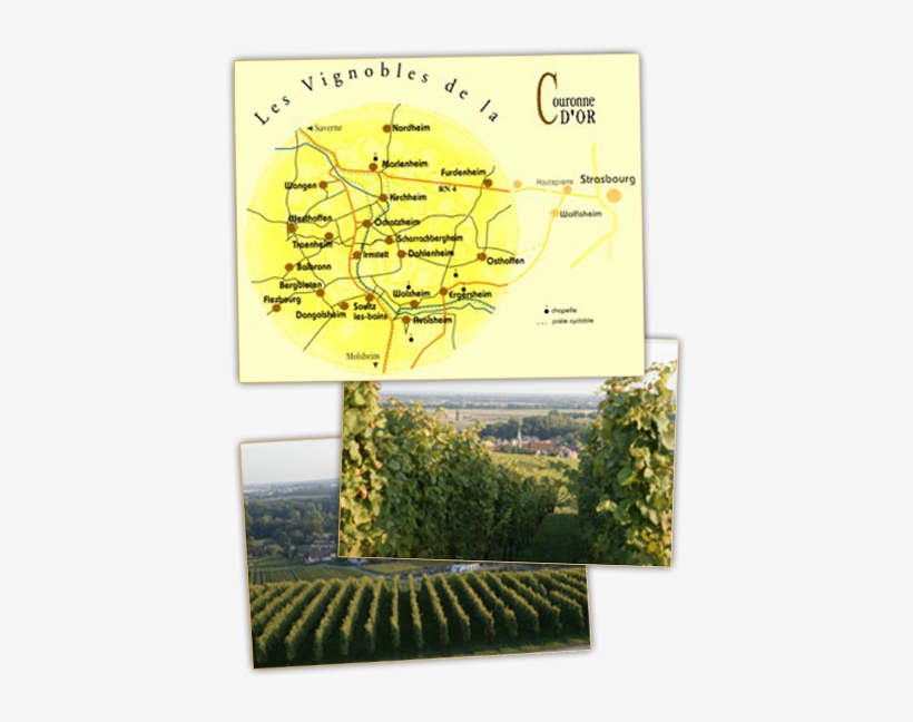 Situated At Some Leagues From Strasbourg, Wolxheim - Paper Product, transparent png download