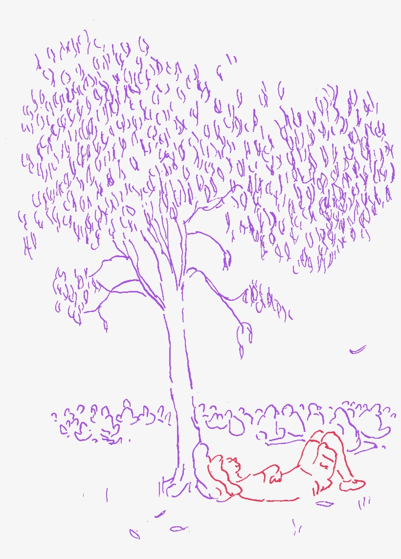 Our Practice To Keep Golden Plains The Right Size - Golden Plains Festival, transparent png download