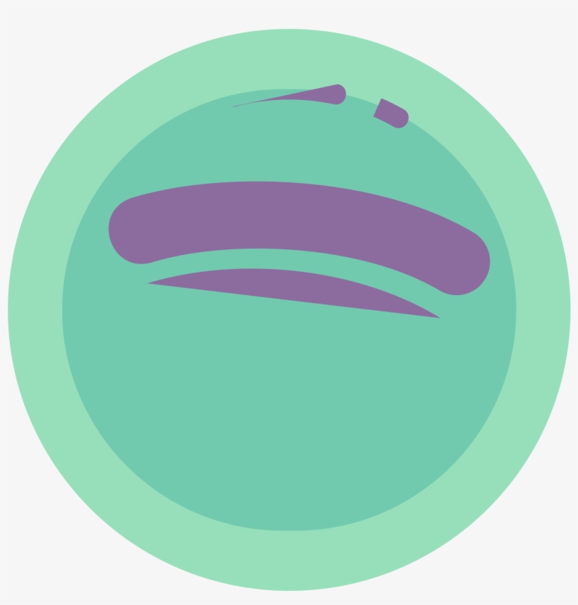 Spotify Icon Vector - Camera Icon, transparent png download