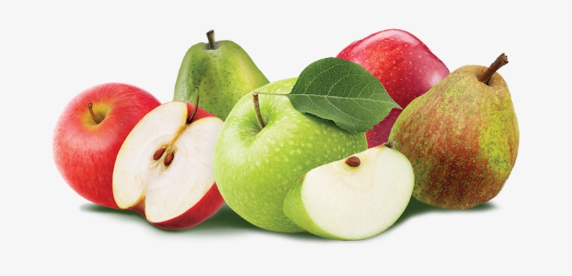 Lindy Lan Port Blocker - Black - X20, transparent png download