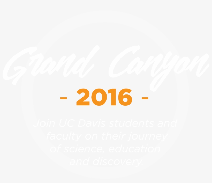 Uc Davis Grand Canyon - University Of California, Davis, transparent png download